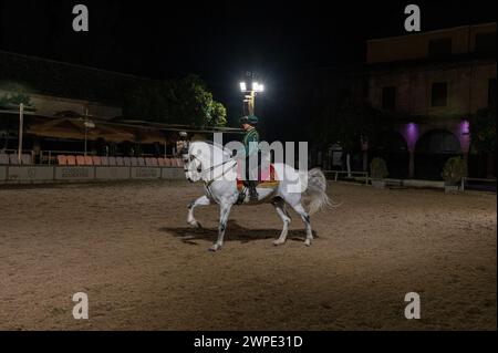 Las Caballerizas Reales de Cordoue (les écuries royales de Cordoue) dans la ville historique de Cordoue en Andalousie, dans le sud de l'Espagne Banque D'Images