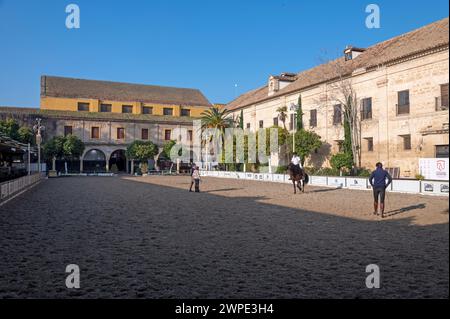 Las Caballerizas Reales de Cordoue (les écuries royales de Cordoue) dans la ville historique de Cordoue en Andalousie, sud de l'Espagne la formation Banque D'Images