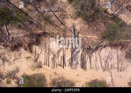 Les courtes longueurs de bois en velours côtelé original coupées pour former une base pour Cobb & Co Stage Coach voyageant de Surat à Yuleba Queensland Australie Banque D'Images
