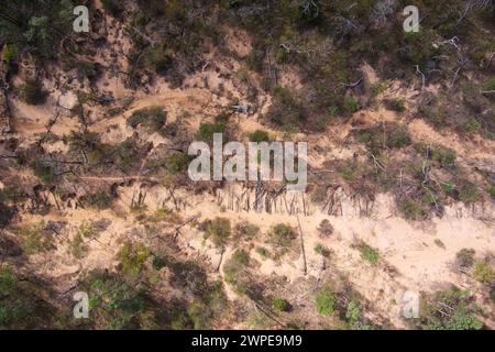 Les courtes longueurs de bois en velours côtelé original coupées pour former une base pour Cobb & Co Stage Coach voyageant de Surat à Yuleba Queensland Australie Banque D'Images