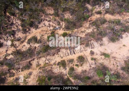 Les courtes longueurs de bois en velours côtelé original coupées pour former une base pour Cobb & Co Stage Coach voyageant de Surat à Yuleba Queensland Australie Banque D'Images