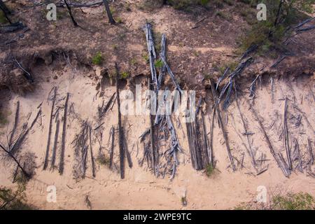 Les courtes longueurs de bois en velours côtelé original coupées pour former une base pour Cobb & Co Stage Coach voyageant de Surat à Yuleba Queensland Australie Banque D'Images