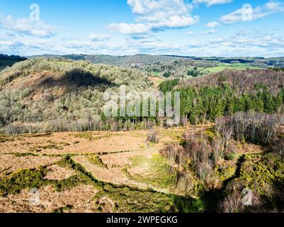 Hiver sur les collines et les vallées dans le parc de Dartmoor, réserve naturelle nationale de Dartmoor est, Yarner Wood, Bovey Tracey, Angleterre Banque D'Images