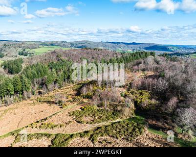 Hiver sur les collines et les vallées dans le parc de Dartmoor, réserve naturelle nationale de Dartmoor est, Yarner Wood, Bovey Tracey, Angleterre Banque D'Images