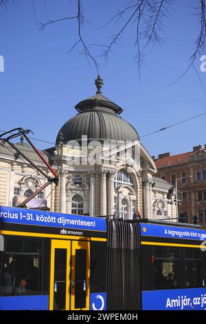 Un tramway passant devant le Vigszinhaz (théâtre de comédie), Budapest, Hongrie Banque D'Images