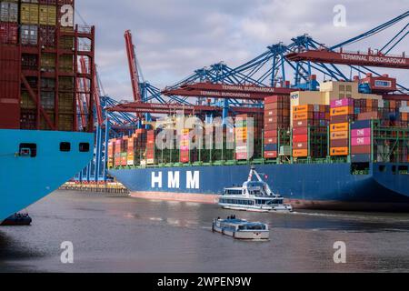 Hafenrundfahrt im Waltershofer Hafen, HHLA Container terminal Burchardkai, HMM Nuri Containerfrachter, Containerschiff, Hambourg, Deutschland Containerschiff *** visite du port de Waltershofer Hafen, HHLA Container terminal Burchardkai, HMM Nuri container Freighter, porte-conteneurs, Hambourg, Allemagne Banque D'Images