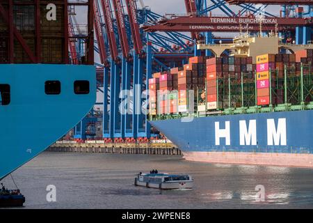 Hafenrundfahrt im Waltershofer Hafen, HHLA Container terminal Burchardkai, HMM Nuri Containerfrachter, Containerschiff, Hambourg, Deutschland Containerschiff *** visite du port de Waltershofer Hafen, HHLA Container terminal Burchardkai, HMM Nuri container Freighter, porte-conteneurs, Hambourg, Allemagne Banque D'Images