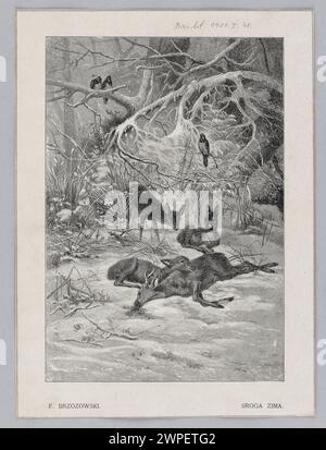 Un dessin de 1901 de Feliks Brzozowski intitulé 'Sryoga Winter', publié dans le magazine Biesiada Literacka, représentant une scène hivernale avec des arbres et de la neige. Banque D'Images