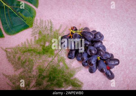 Vue de dessus branche de raisin pourpre isolée au-dessus du fond Banque D'Images