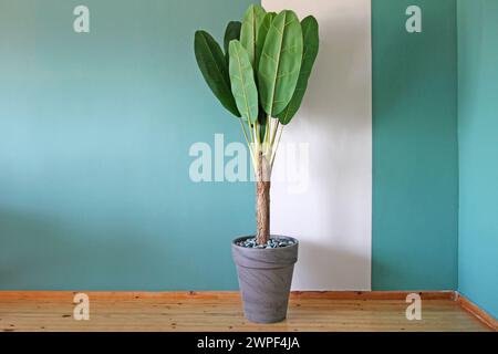 Grande plante à la maison artificielle sur un fond de mur vert. Espace pour votre texte. Banque D'Images