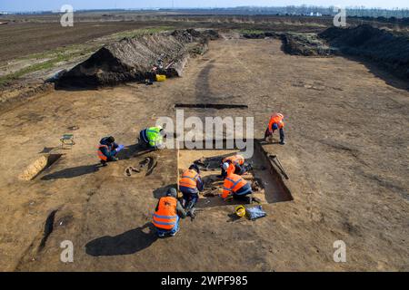 Magdebourg, Allemagne. 07 mars 2024. Des archéologues de l'Office d'État de Saxe-Anhalt pour la préservation des monuments et l'archéologie découvrent les os d'un homme de 40 ans (l) et les os d'un double enterrement de bétail (R) sur l'Eulenberg. Les tombes ont environ 5000 ans et appartiennent à la culture globulaire des amphores. L'Eulenberg est le futur site sur lequel le fabricant de puces américain 'Intel' veut construire une usine. Crédit : Klaus-Dietmar Gabbert/dpa/Alamy Live News Banque D'Images