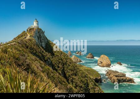 Le phare de Nugget point, de 10 mètres, au large de la route panoramique du Sud, a été allumé pour la première fois en 1870. Entouré d'îlots rocheux ou de pépites, il était automatisé Banque D'Images