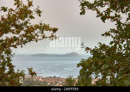 La Ria de Vigo et les îles Cies vues depuis les montagnes de Coruxo avec deux arbres servant de toile de fond Banque D'Images