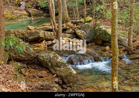 Vue rapprochée de l'eau qui coule d'un ruisseau cristallin allant au-dessus des rochers rochers et des arbres dans la forêt par une journée ensoleillée à la fin de l'hiver Banque D'Images