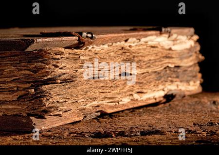 Bible de plus de 300 ans avec des pages très altérées Banque D'Images