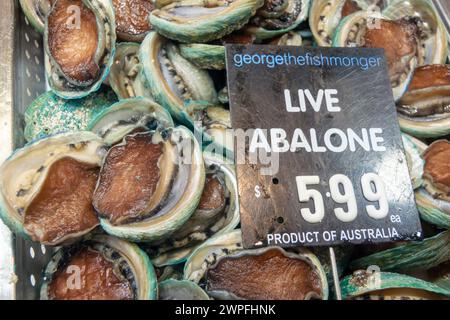 Melbourne, Australie, février 2018 - Un stand de marché d'ormeaux vivants à vendre, dans la ville de Melbourne, en Australie Banque D'Images