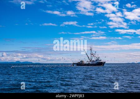 Le senneur MV Nita Maria effectue la pêche test du hareng du Pacifique près de Denman Island (Colombie-Britannique) le 5 mars 2024 Banque D'Images