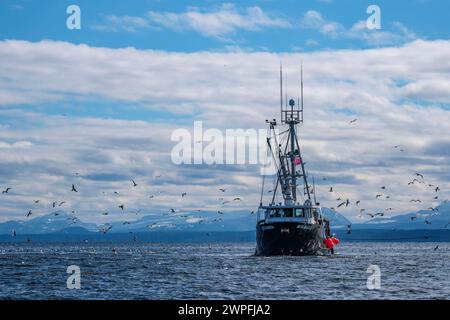 Le senneur MV Nita Maria effectue la pêche test du hareng du Pacifique près de Denman Island (Colombie-Britannique) le 5 mars 2024 Banque D'Images