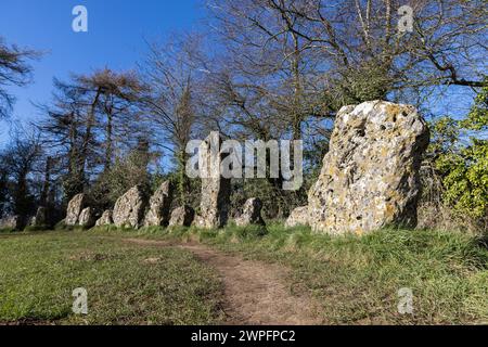 Rollright Stones cercle de pierre préhistorique à la frontière de Oxfordshire et Warwickshire, Angleterre, Royaume-Uni Banque D'Images