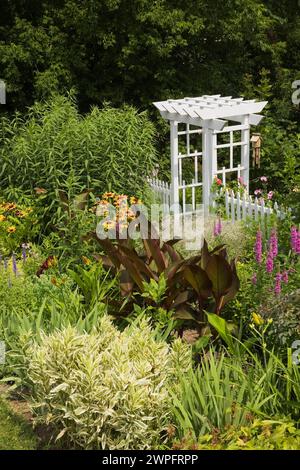 Tonnelle en bois blanc, clôture de piquet avec bordures plantées de Canna - grenaille indienne, Lythrum salicaria violet - Loosestrife, Rudbeckias jaune et orange. Banque D'Images