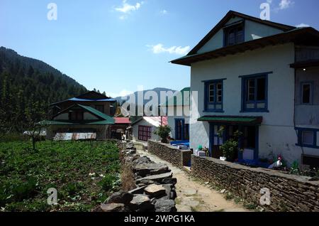 Maisons traditionnelles népalaises et rue étroite marchant dans le village de Junbesi sherpa, Solukhumbu, région de l'Everest, Népal Banque D'Images