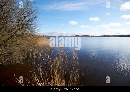 lough neagh shoreline oxford island county armagh irlande du nord royaume-uni Banque D'Images