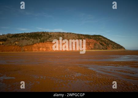 Blomidon à marée basse montrant une plage de sable et des bassins de marée avec une falaise rouge et un ciel bleu clair Banque D'Images