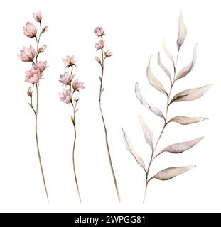 Ensemble de branches et de fleurs d'illustration botanique d'automne à l'aquarelle. Illustration florale d'automne. Vibrations d'automne. Dessin peint à la main isolé sur blanc Banque D'Images