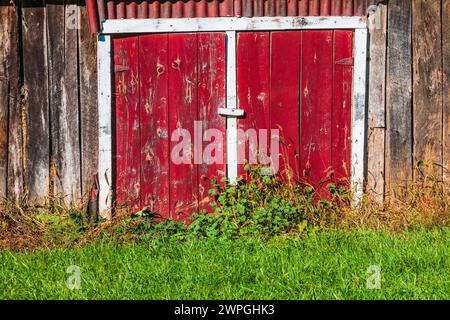 Grange avec portes rouges sur Blue Ridge Parkway en Virginie. Banque D'Images