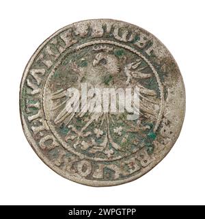 Un sou lituanien émis en 1535 sous le roi Zygmunt I Stary de Pologne, représentant la monnaie du Royaume du XVIe siècle. Banque D'Images