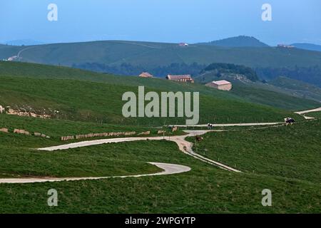 Le chemin de terre qui traverse les pâturages de Alta Lessinia. En arrière-plan Malga Brancon. Bosco Chiesanuova, Vénétie, Italie. Banque D'Images