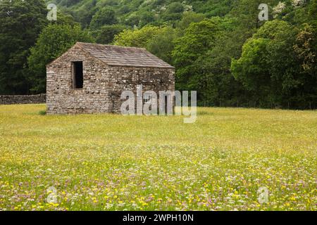 Une grange dans un pré fleuri près de Muker, Yorkshire, Royaume-Uni Banque D'Images