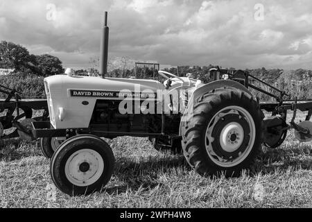 Drayton.Somerset.United kingdom.August 19th 2023.A restauré David Brown Selectamatic 880 est exposé à un événement Yesterdays Farming Banque D'Images