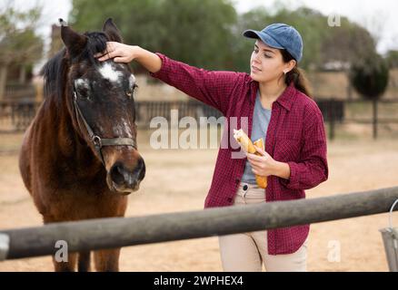 Femme prenant soin des chevaux Banque D'Images