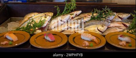 Sushi affiché avec du poisson frais et Nigiri Banque D'Images