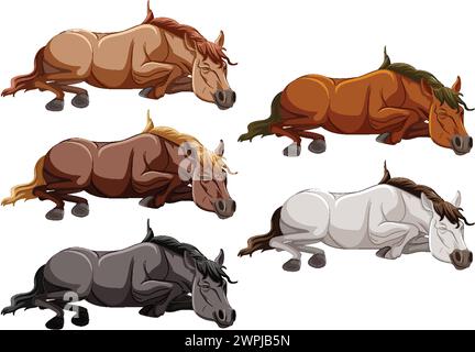 Collection de chevaux de différentes couleurs et poses. Illustration de Vecteur