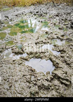 Boue de flaque sur le sol après la pluie. Banque D'Images