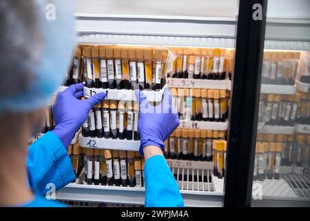 Technicien de laboratoire tient set avec biomatériau pour l'analyse de sang dans ses mains Banque D'Images