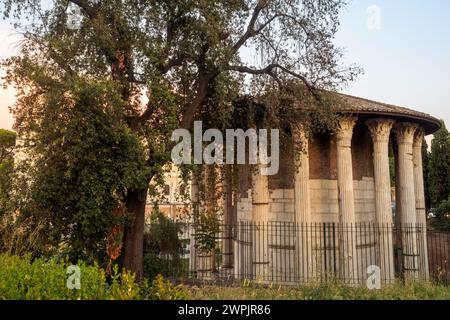 Le Temple d'Hercule Victor ou Hercules Olivarius est un temple romain, à Piazza Bocca della Verità, dans la région du Forum Boarium près du Tibre - Rome, Italie Banque D'Images