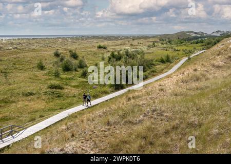 Les gens marchent sur la promenade dans les dunes de Wittdun sur l'île d'Amrum, Frise du Nord, Schleswig-Holstein, Allemagne Banque D'Images