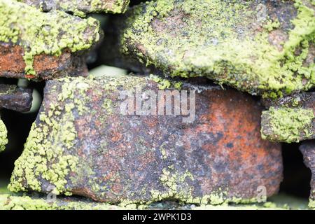UK, Derbyshire, Dovedale, mur de pierre sèche recouvert de mousse. Banque D'Images