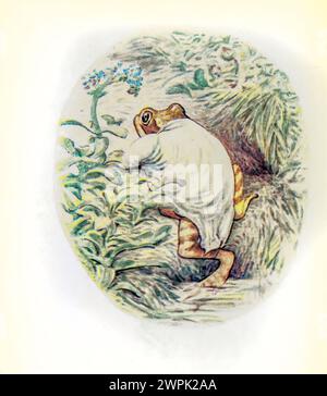 Le conte de Mr. Jeremy Fisher par Beatrix Potter, le conte de Mr. Jeremy Fisher est un livre pour enfants, écrit et illustré par Beatrix Potter. Il a été publié par Frederick Warne & Co en juillet 1906. Jeremy Fisher est une grenouille qui vit dans une maison «glissante-bâclée» au bord d'un étang. Au cours d'un jour de pluie, il ramasse des vers pour la pêche et part à travers l'étang sur son bateau de nénuphar. Il prévoit d'inviter ses amis à dîner s'il attrape plus de cinq esprits. Il rencontre toutes sortes de revers à son but, et échappe à une grosse truite qui tente de l'avaler. Il nage pour le rivage, décide lui Banque D'Images