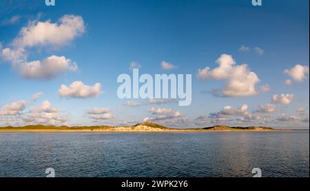 Côte île de Sylt avec dunes de Puan Klent de la mer des Wadden, Frise du Nord, Schleswig-Holstein, Allemagne Banque D'Images