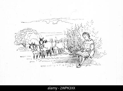 The Farmer's Boy de Randolph Caldecott, Banque D'Images