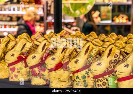 Lindt Goldhasen im Schaufenster eines Schokoladengeschäfts, München, März 2024 Deutschland, München, März 2024, Lindt Goldhasen mit roter Schleife und Glöckchen im Schaufenster eines Schokoladenladens, Schoko-Osterhasen dekorativ aufgereiht, Lindt Goldhasen gibt es seit 1952, Süßigkeiten Süßwaren, Saisonartikel, Osterartikel, Symbolfoto Ostern, *** Lindt Gold Bunny dans la vitrine d'un magasin de chocolat, Munich, mars 2024 Allemagne, Munich, mars 2024, Lindt Gold Bunny avec ruban rouge et cloches dans la fenêtre d'un magasin de chocolat, lapins de Pâques en chocolat décorativement alignés, Lindt Gold Bunny a Banque D'Images