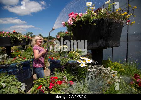 10/07/14 Christine Redfern, arrose 80 pots de fleurs géants pour la dernière fois avant qu'ils ne soient chargés sur un camion ce soir et conduits à Glasgow pour Banque D'Images