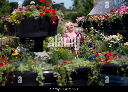 10/07/14 Christine Redfern, arrose 80 pots de fleurs géants pour la dernière fois avant qu'ils ne soient chargés sur un camion ce soir et conduits à Glasgow pour Banque D'Images