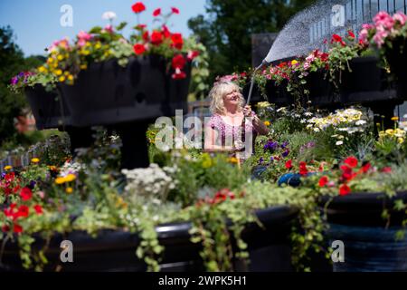 10/07/14 Christine Redfern, arrose 80 pots de fleurs géants pour la dernière fois avant qu'ils ne soient chargés sur un camion ce soir et conduits à Glasgow pour Banque D'Images