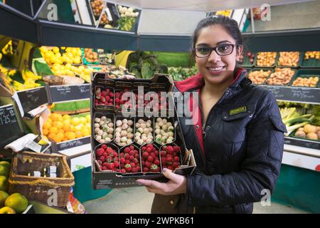 05/11/14 Greengrocer, Pinder Dayal, de Fresh Choice à Ashbourne. Est-ce un ananas ? Est-ce une fraise ? No itÕs a ÔpineberryÕ. ****Histoire complète HE Banque D'Images