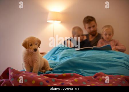 Nuit, enfants ou père lisant livre au lit pour l'apprentissage, l'éducation ou la narration à la maison avec chien. Famille, détente ou papa avec des enfants frères et sœurs pour un Banque D'Images